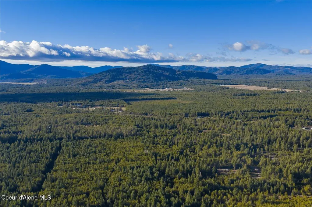 4529 E Diagonal Road Rathdrum ID 83858