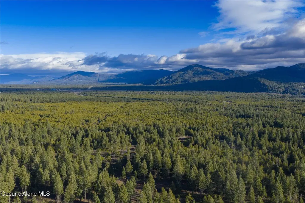 4529 E Diagonal Road Rathdrum ID 83858
