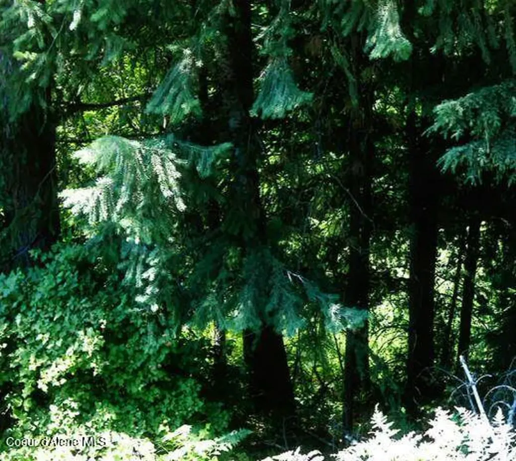 Nka Tamarack Ridge Road 1.35 Acres Cataldo ID 83810