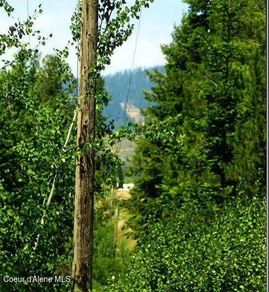 Nka Tamarack Ridge Road 1.35 Acres Cataldo ID 83810
