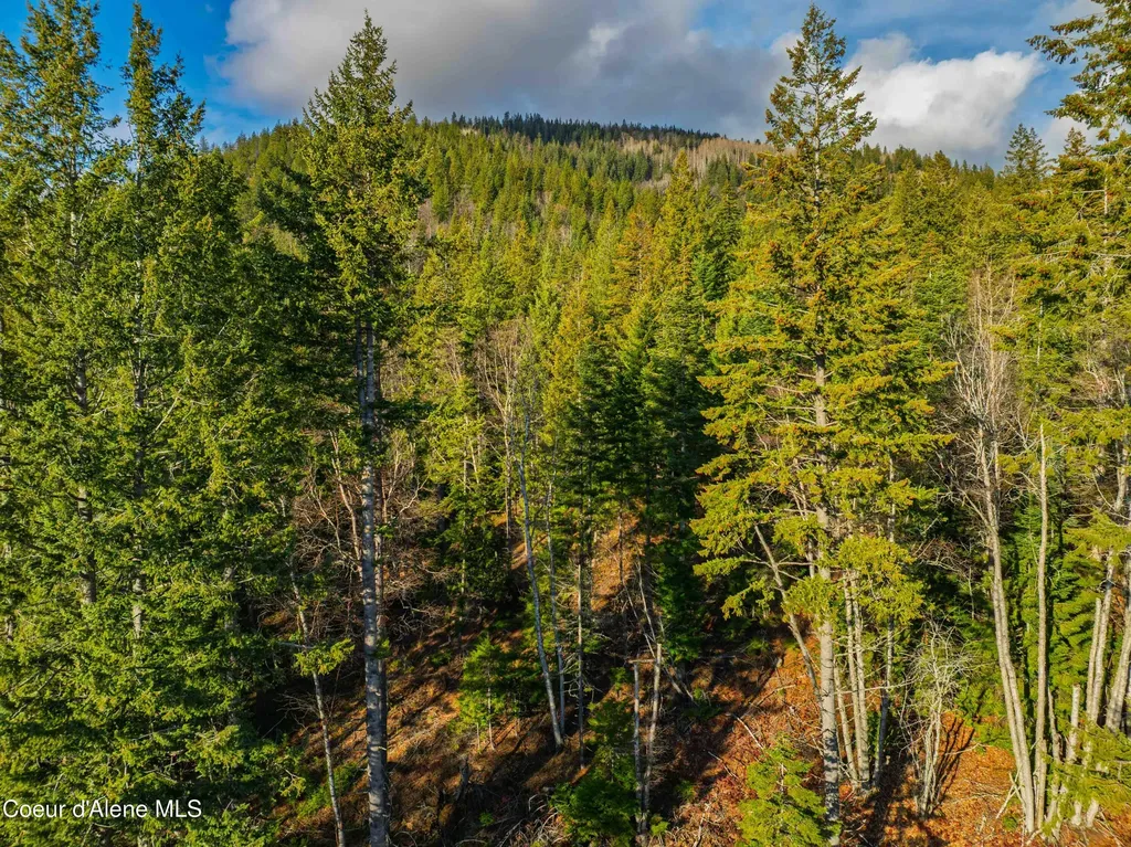 Nna 20.83acs Destiny Lane Sandpoint ID 83864