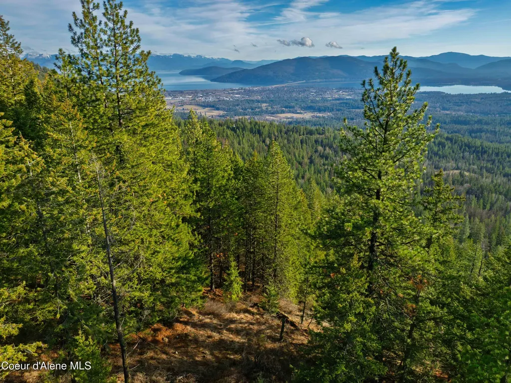 Nna 20.83acs Destiny Lane Sandpoint ID 83864