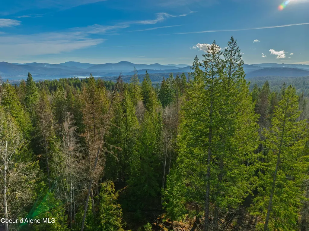 Nna 20.83acs Destiny Lane Sandpoint ID 83864