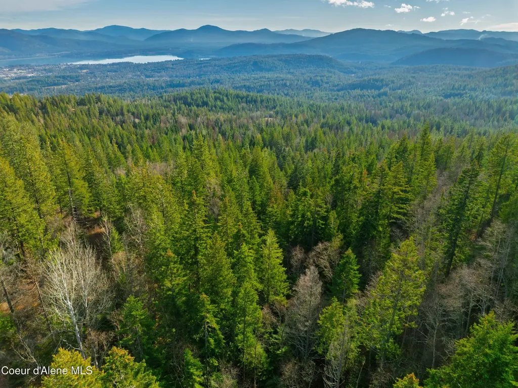 Nna 20.83acs Destiny Lane Sandpoint ID 83864