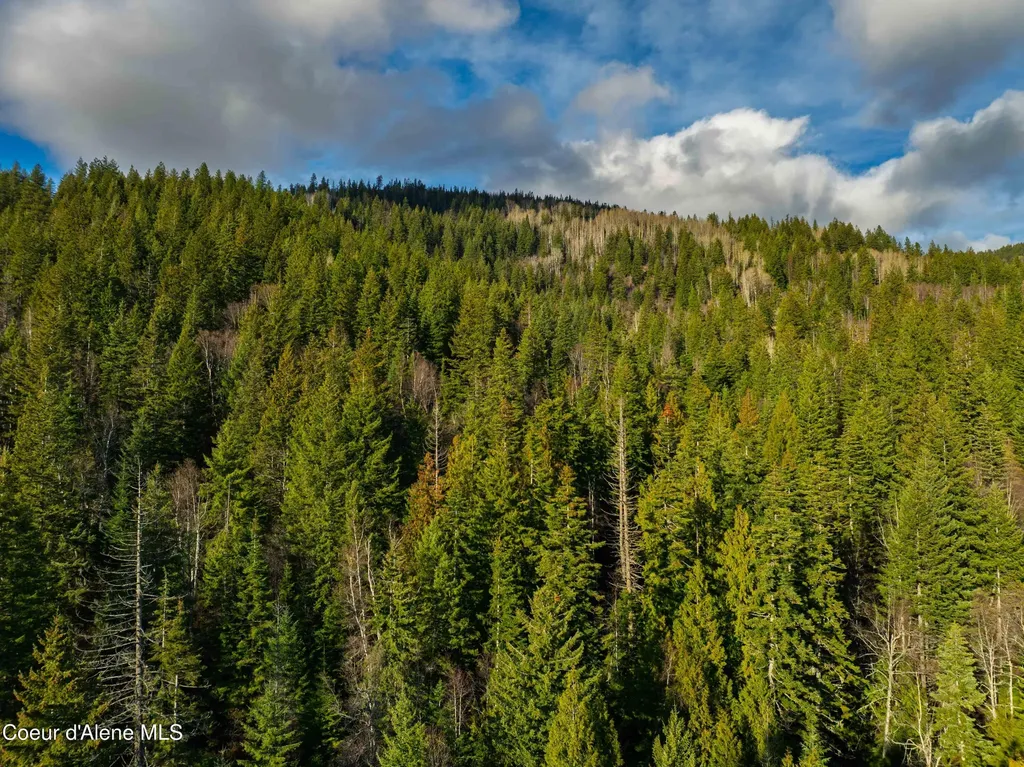 Nna 20.83acs Destiny Lane Sandpoint ID 83864