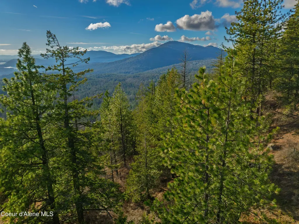 Nna 20.83acs Destiny Lane Sandpoint ID 83864