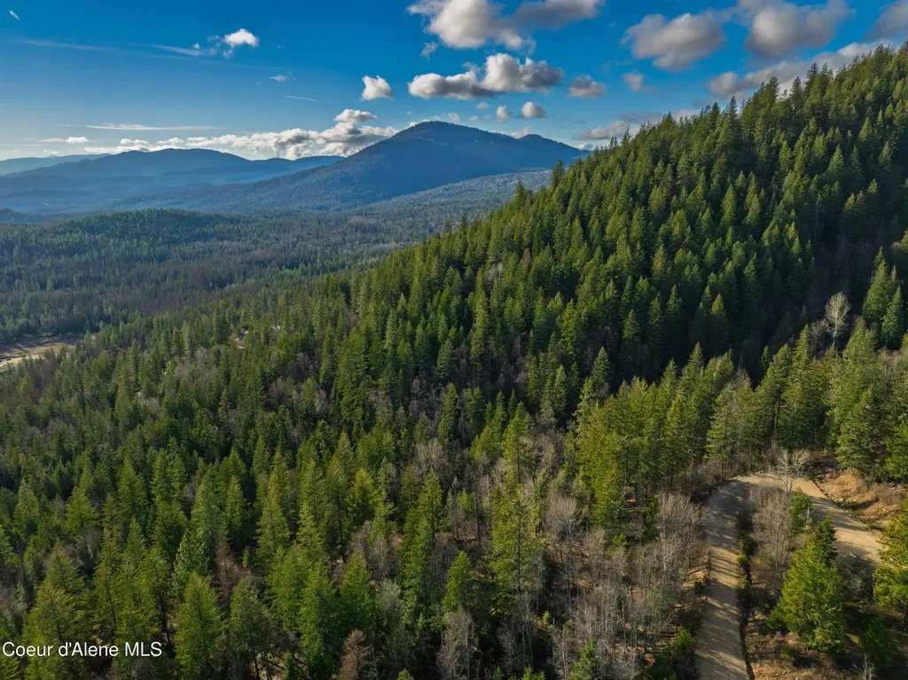 Nna 20.83acs Destiny Lane Sandpoint ID 83864
