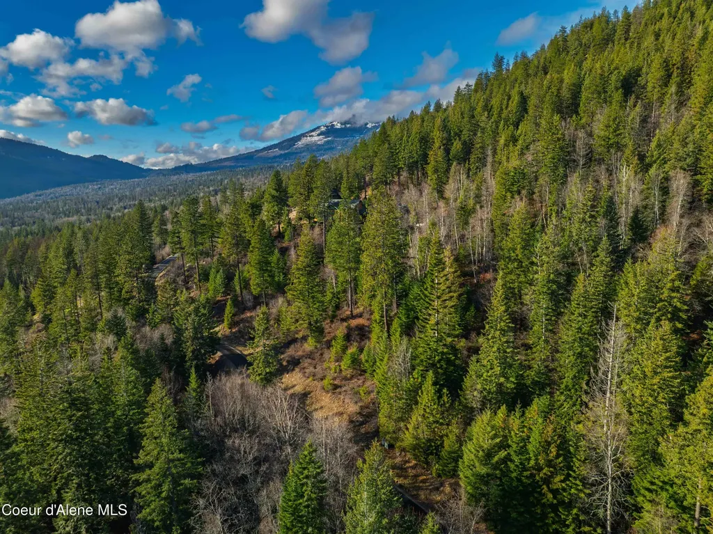 Nna 20.83acs Destiny Lane Sandpoint ID 83864