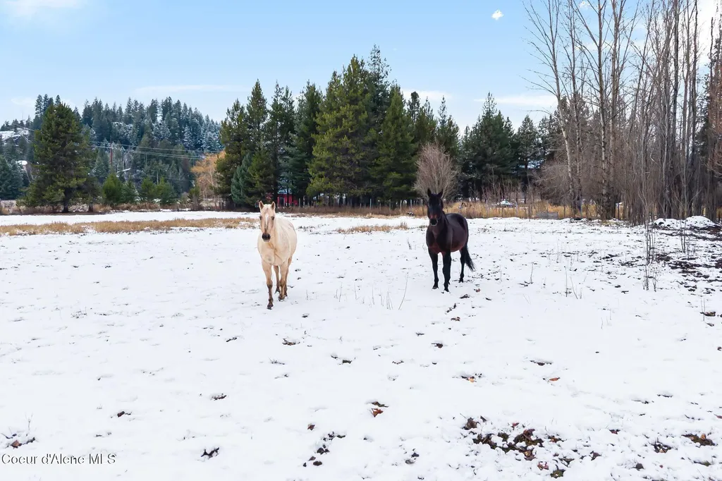 966 N Kootenai Road Sandpoint ID 83864