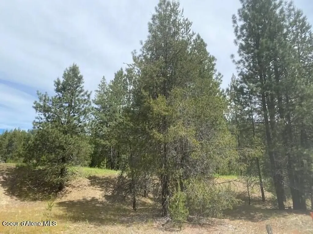 Nna (7800) 20 Ac. Blue Lake Road Priest River ID 83856