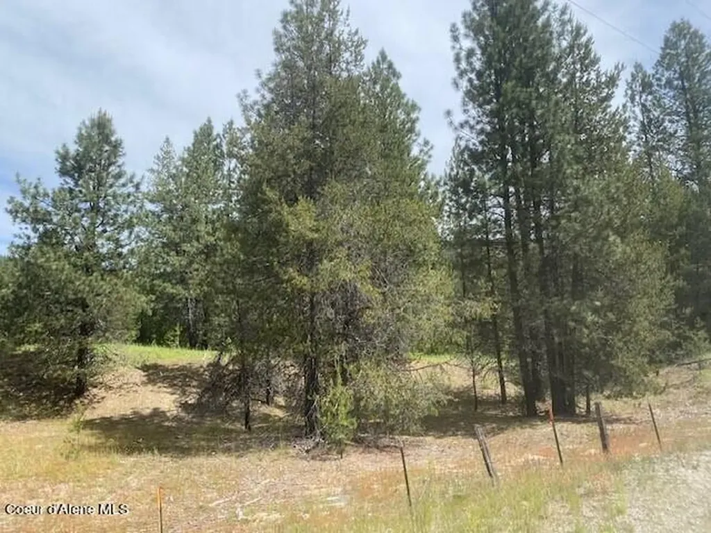 Nna (7800) 20 Ac. Blue Lake Road Priest River ID 83856