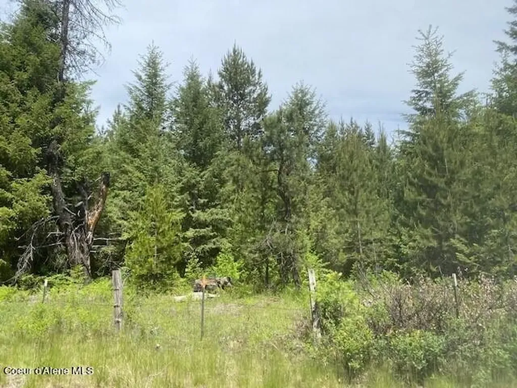 Nna (7800) 20 Ac. Blue Lake Road Priest River ID 83856