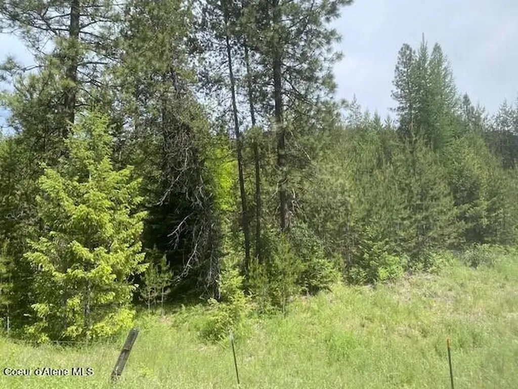 Nna (7800) 20 Ac. Blue Lake Road Priest River ID 83856