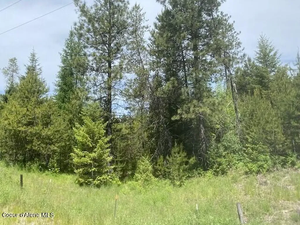 Nna (7800) 20 Ac. Blue Lake Road Priest River ID 83856