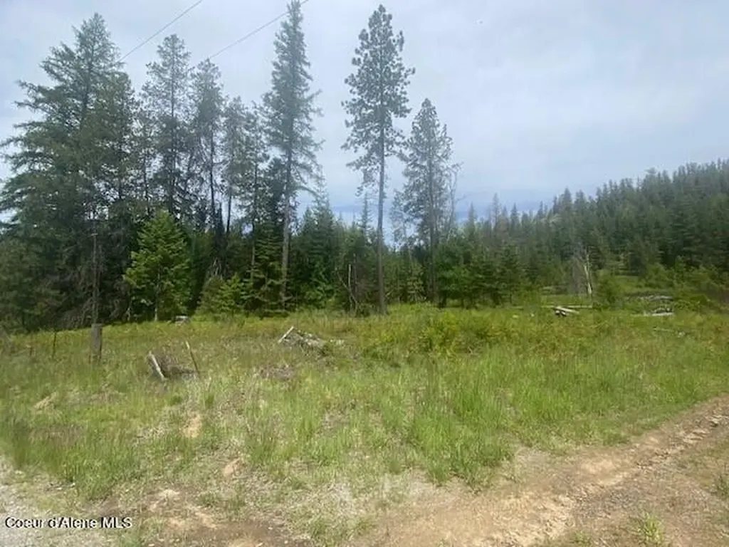 Nna (7800) 20 Ac. Blue Lake Road Priest River ID 83856
