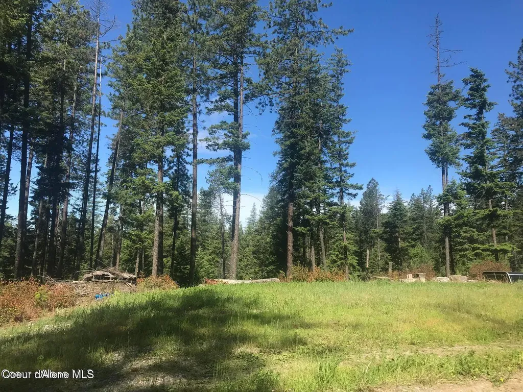 41 Quiet Road Athol ID 83801