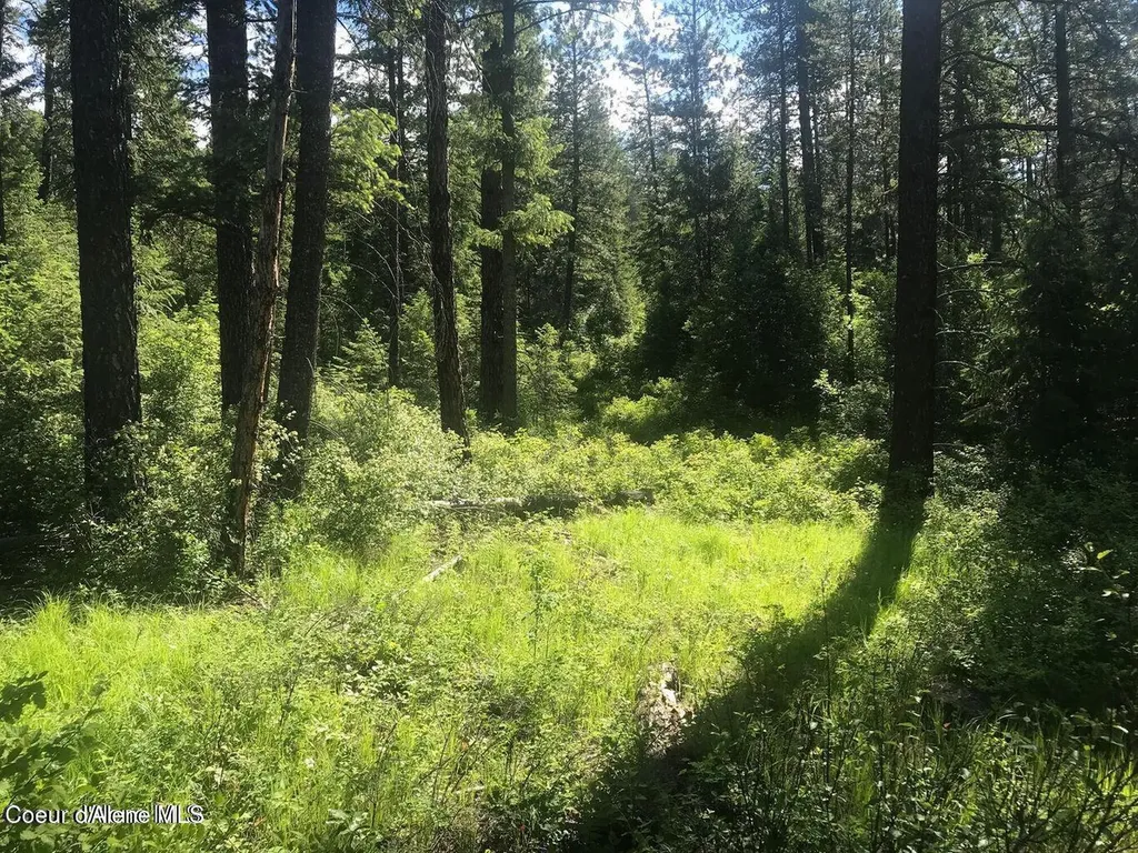 41 Quiet Road Athol ID 83801