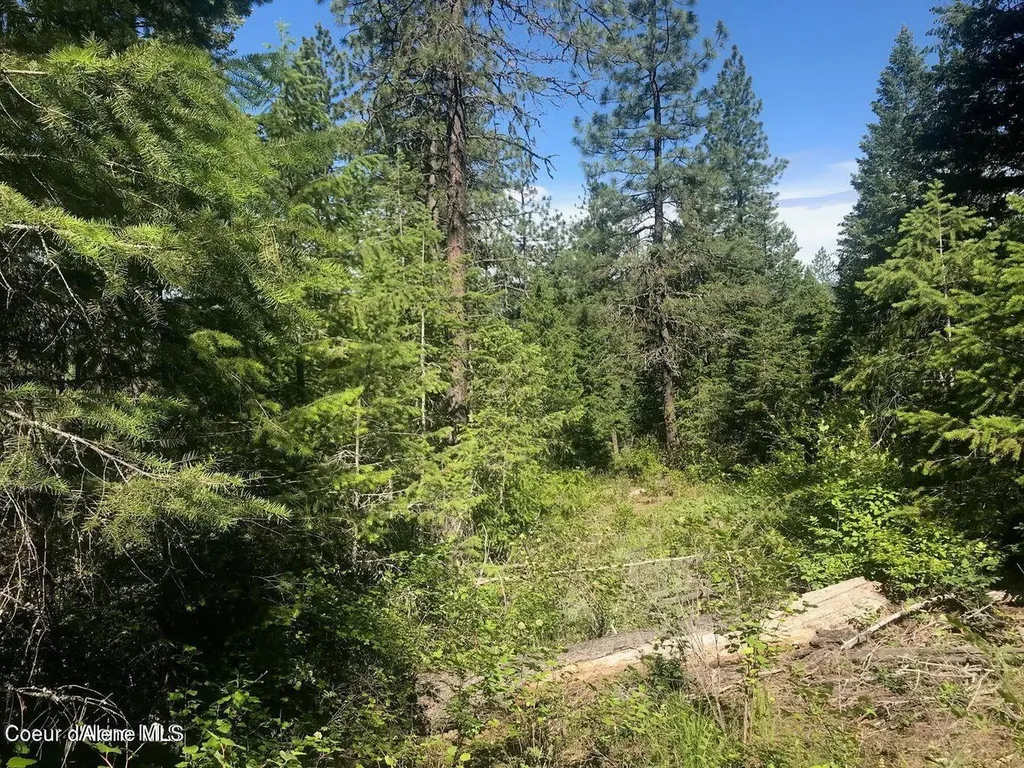 41 Quiet Road Athol ID 83801
