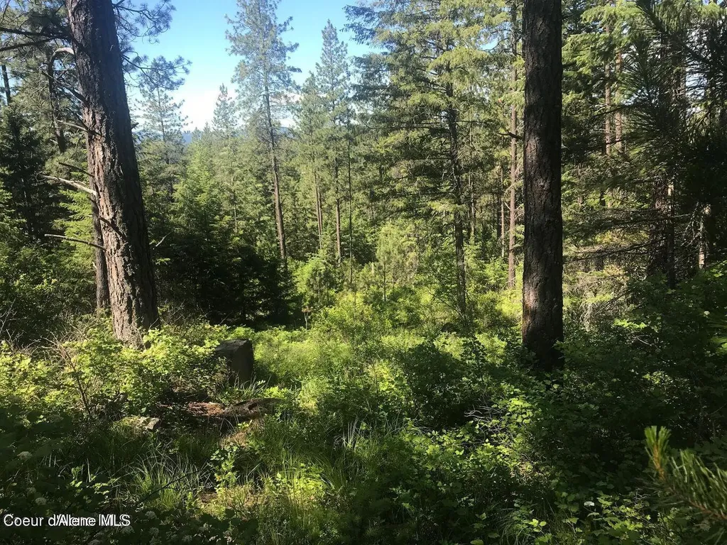 41 Quiet Road Athol ID 83801