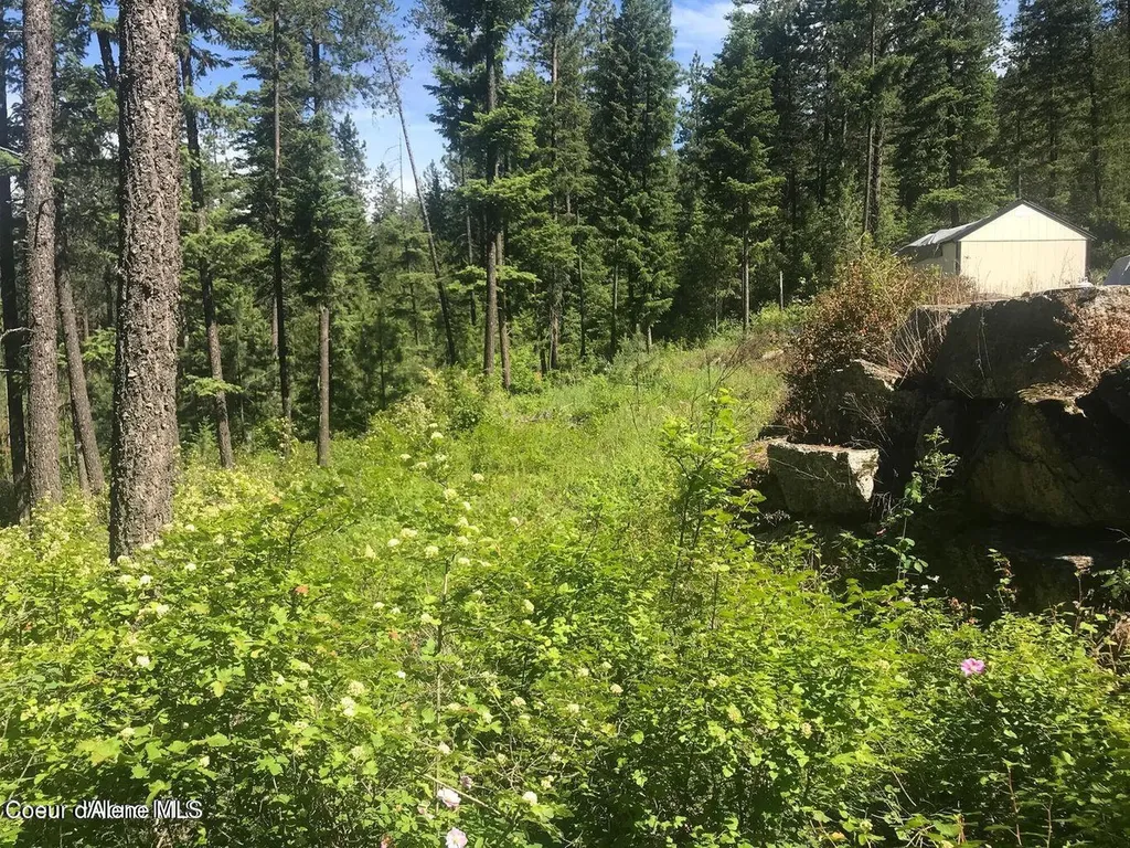 41 Quiet Road Athol ID 83801