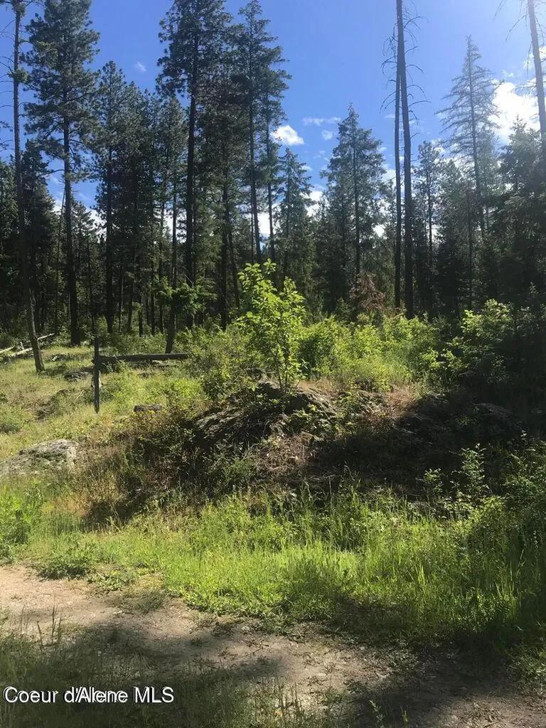 41 Quiet Road Athol ID 83801