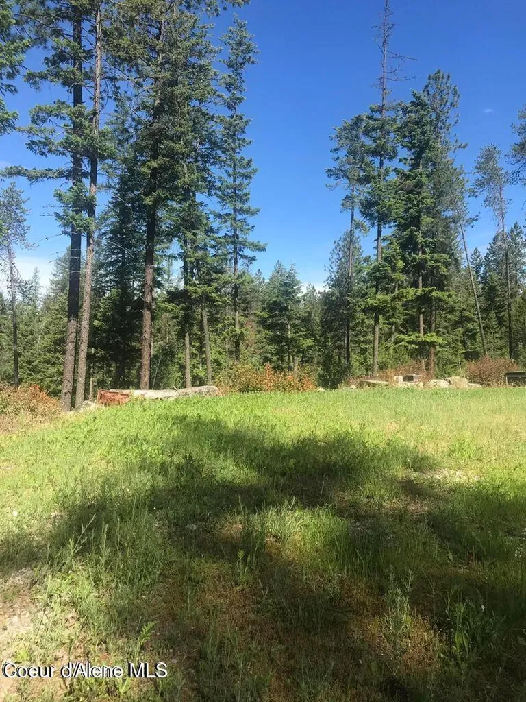 41 Quiet Road Athol ID 83801