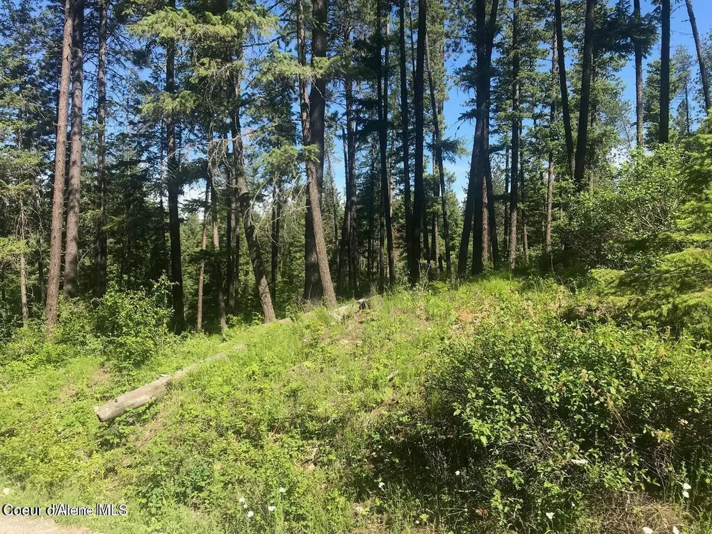 41 Quiet Road Athol ID 83801