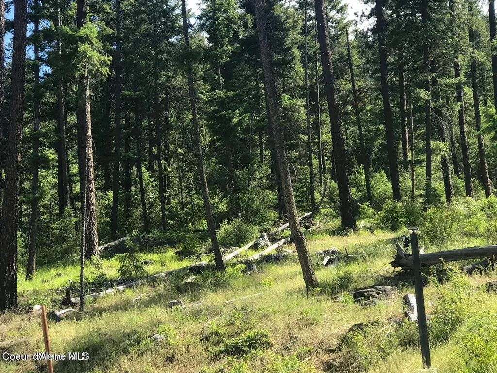 41 Quiet Road Athol ID 83801
