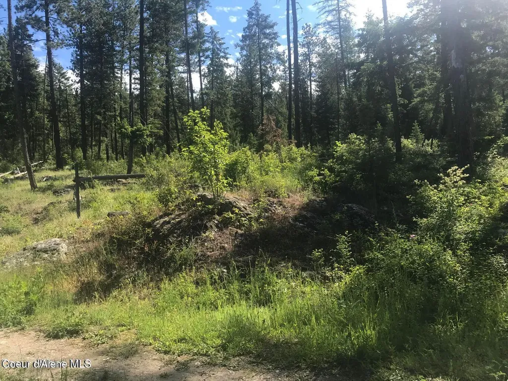 41 Quiet Road Athol ID 83801