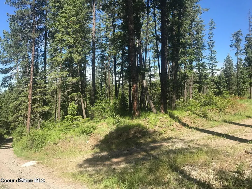 41 Quiet Road Athol ID 83801