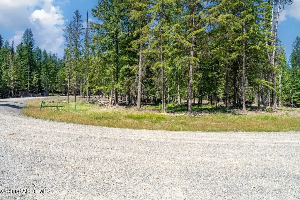 Lot 5 Brown Bear Drive Nordman ID 83848