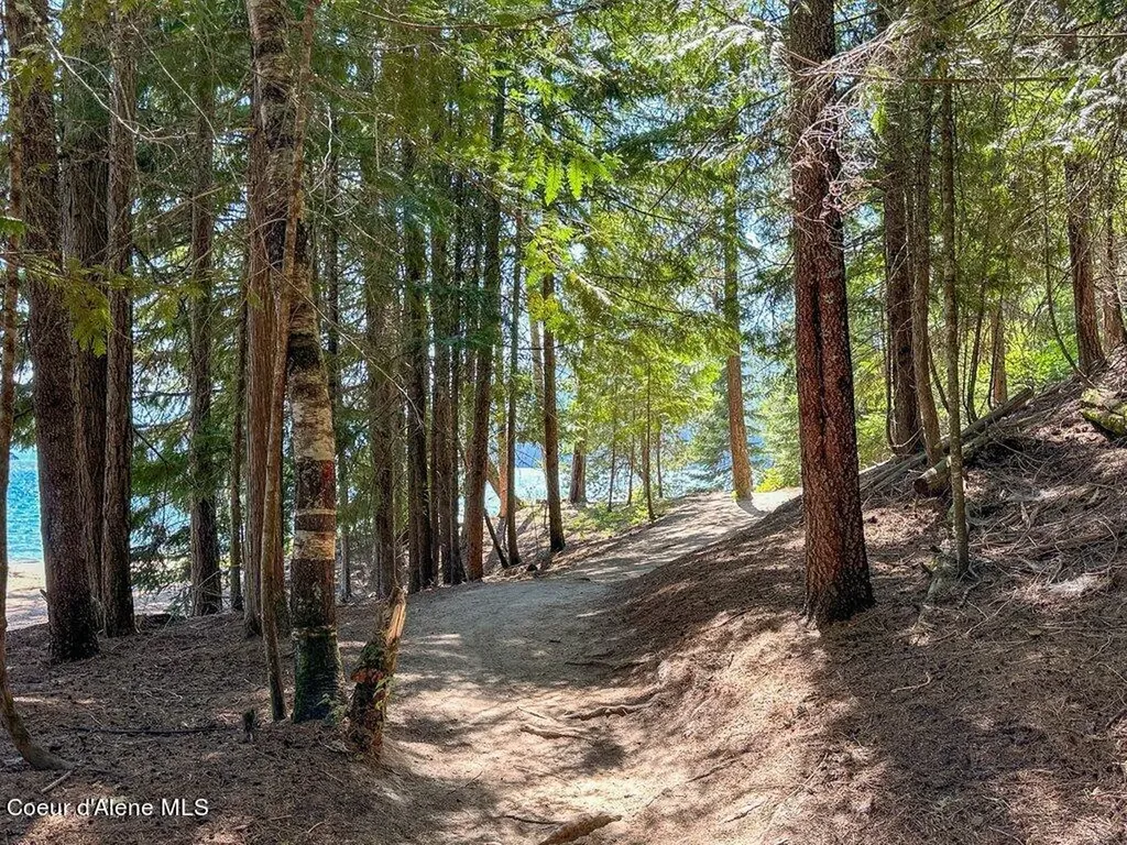 Lot 5 Brown Bear Drive Nordman ID 83848