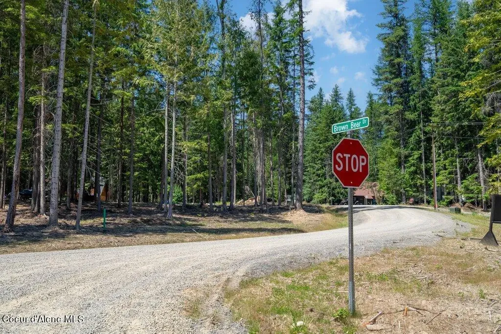 Lot 5 Brown Bear Drive Nordman ID 83848