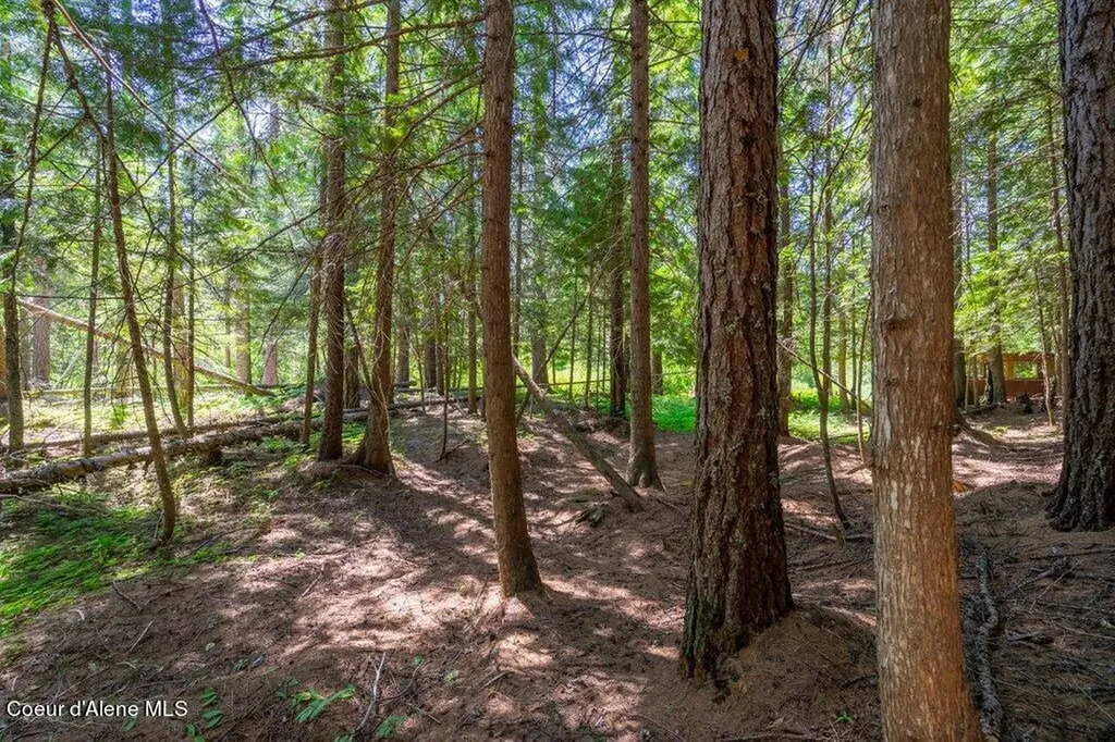Lot 6 Brown Bear Drive Nordman ID 83848