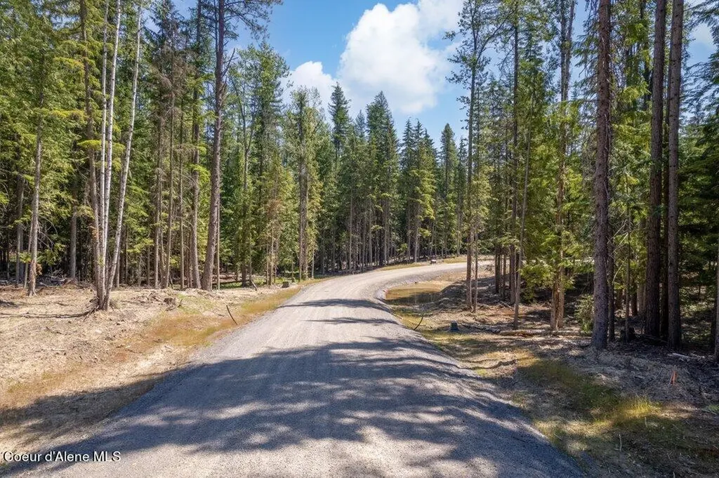 Lot 6 Brown Bear Drive Nordman ID 83848