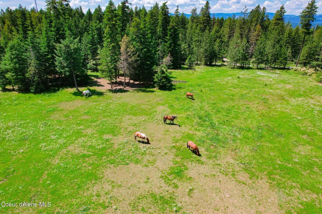 5939 E Burma Road Harrison ID 83833