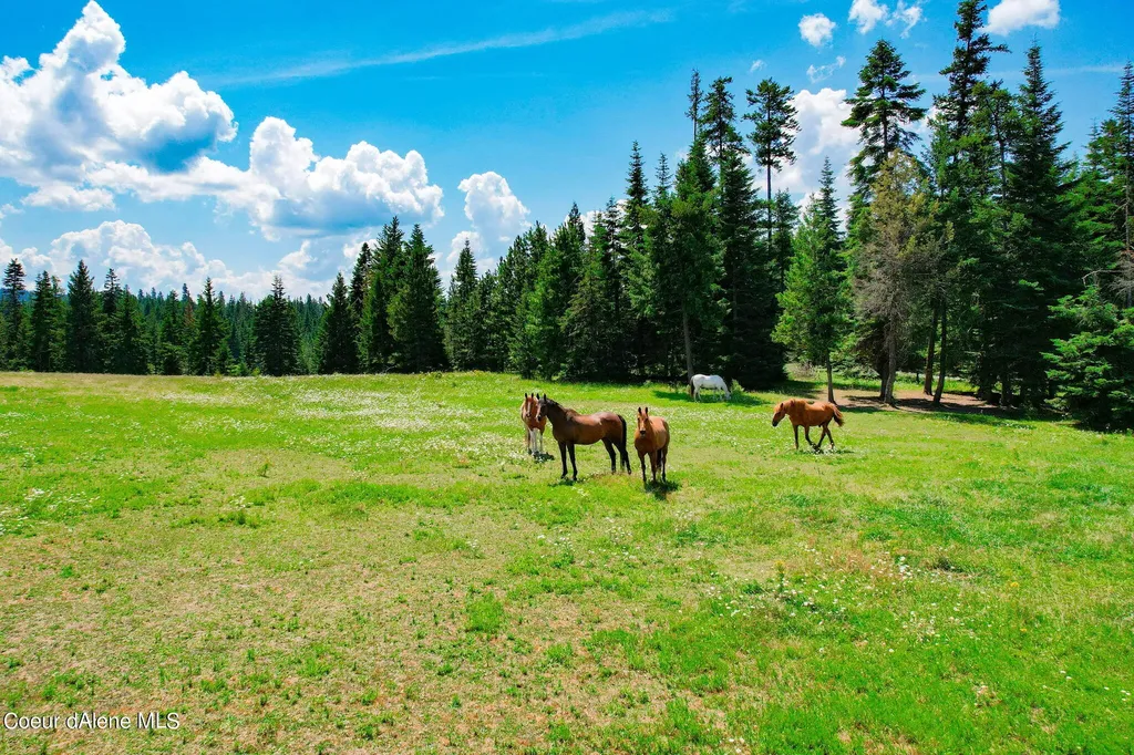5939 E Burma Road Harrison ID 83833