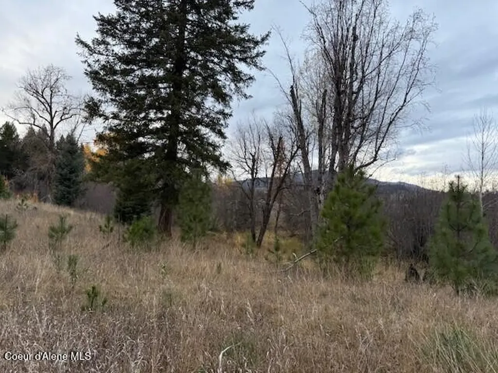 Nna (8550) Eastside Road Priest River ID 83856