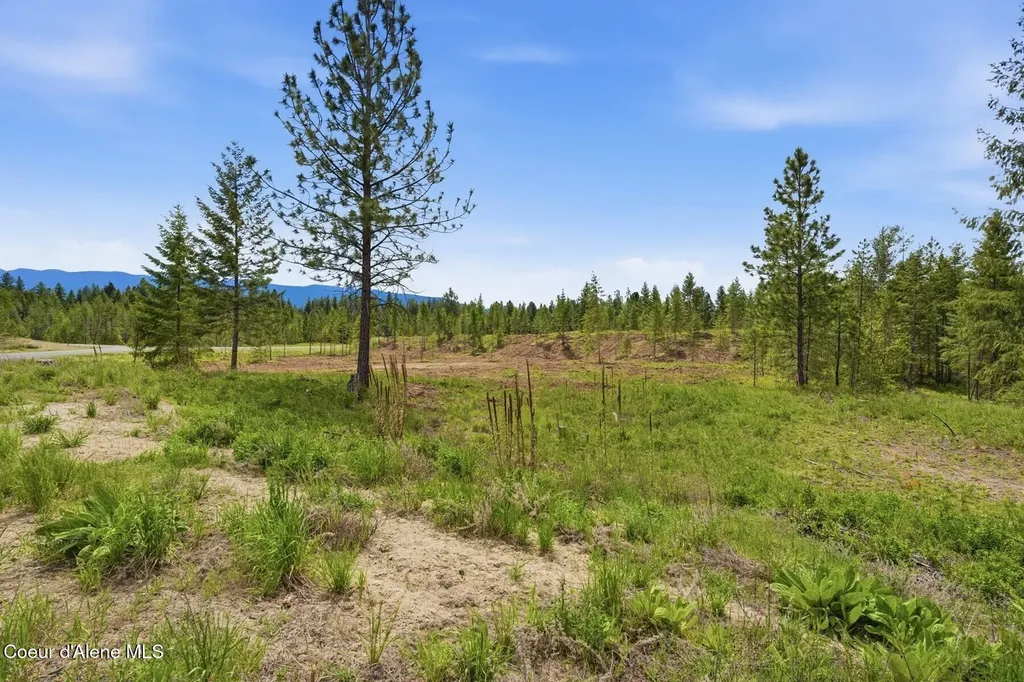 Lot 3 Poulton Way Bonners Ferry ID 83805
