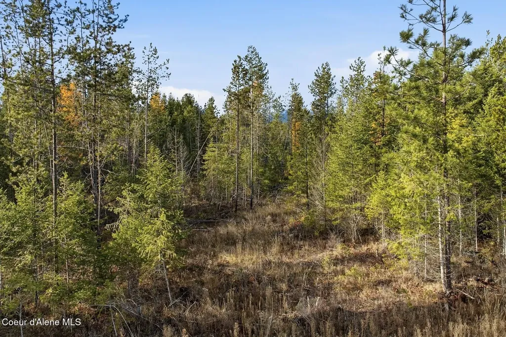 Lot 3 Poulton Way Bonners Ferry ID 83805