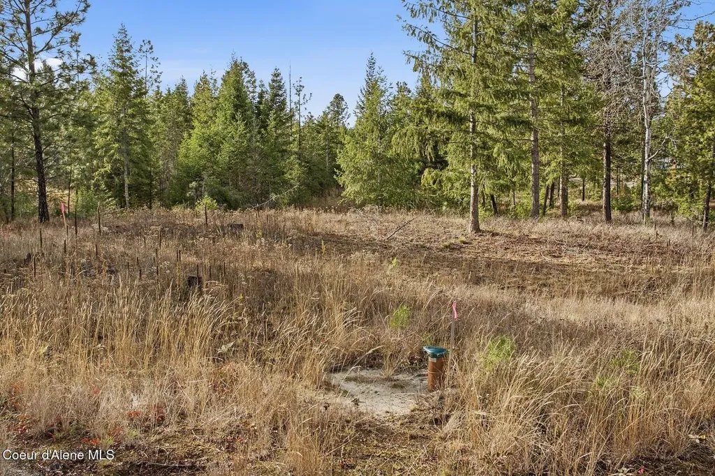 Lot 3 Poulton Way Bonners Ferry ID 83805