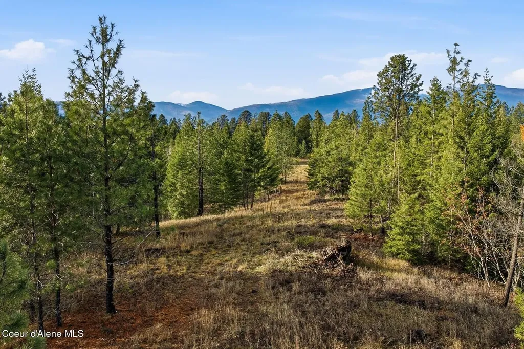 Lot 3 Poulton Way Bonners Ferry ID 83805