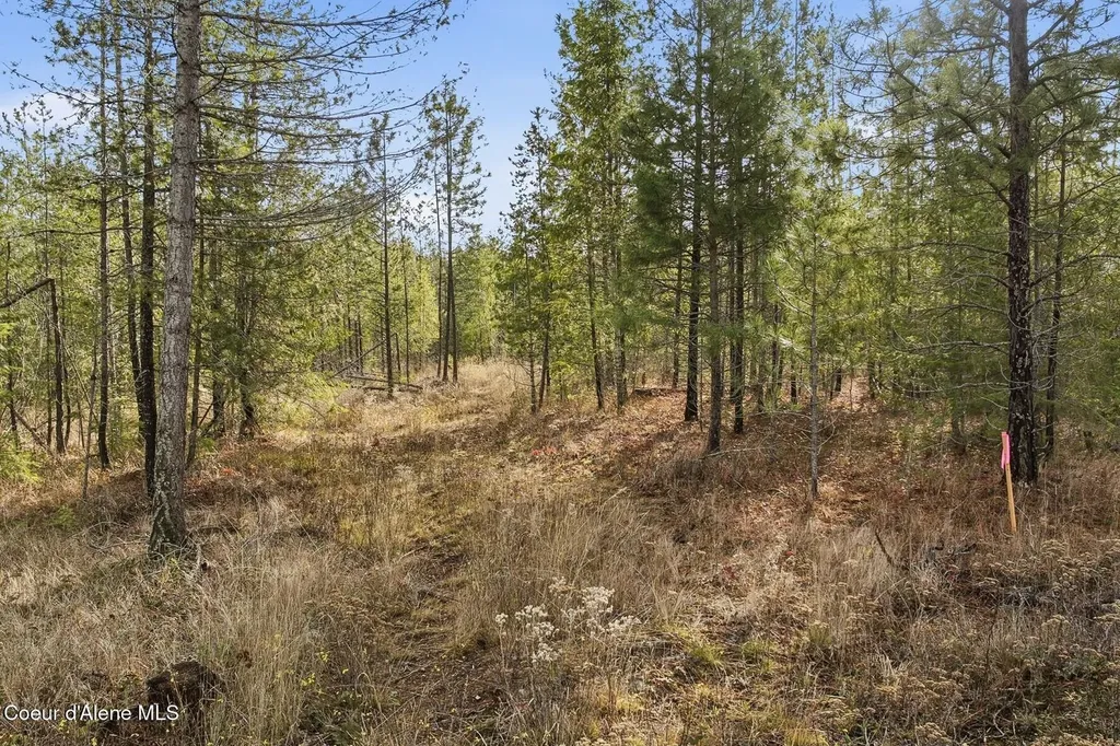Lot 3 Poulton Way Bonners Ferry ID 83805
