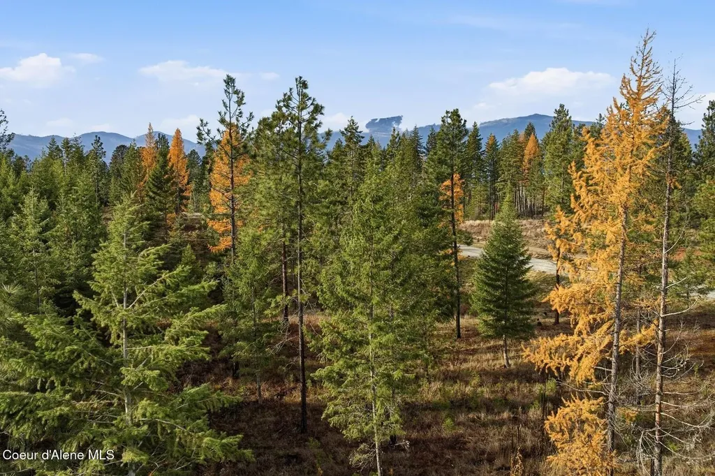 Lot 3 Poulton Way Bonners Ferry ID 83805