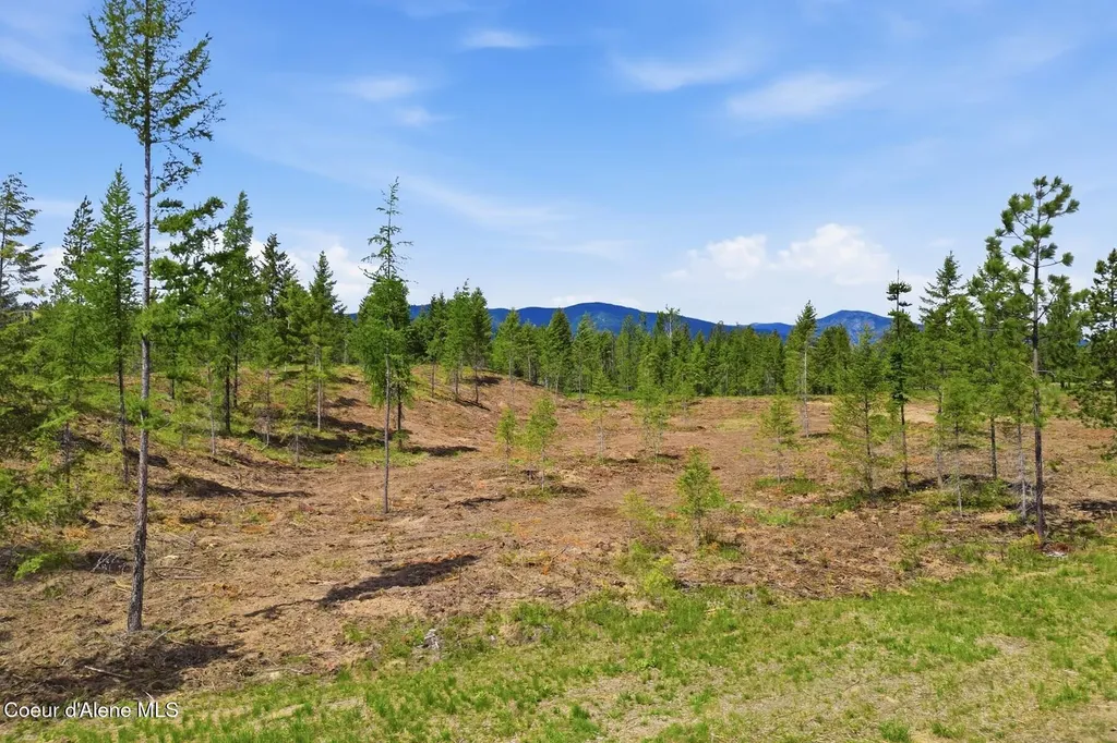 Lot 3 Poulton Way Bonners Ferry ID 83805
