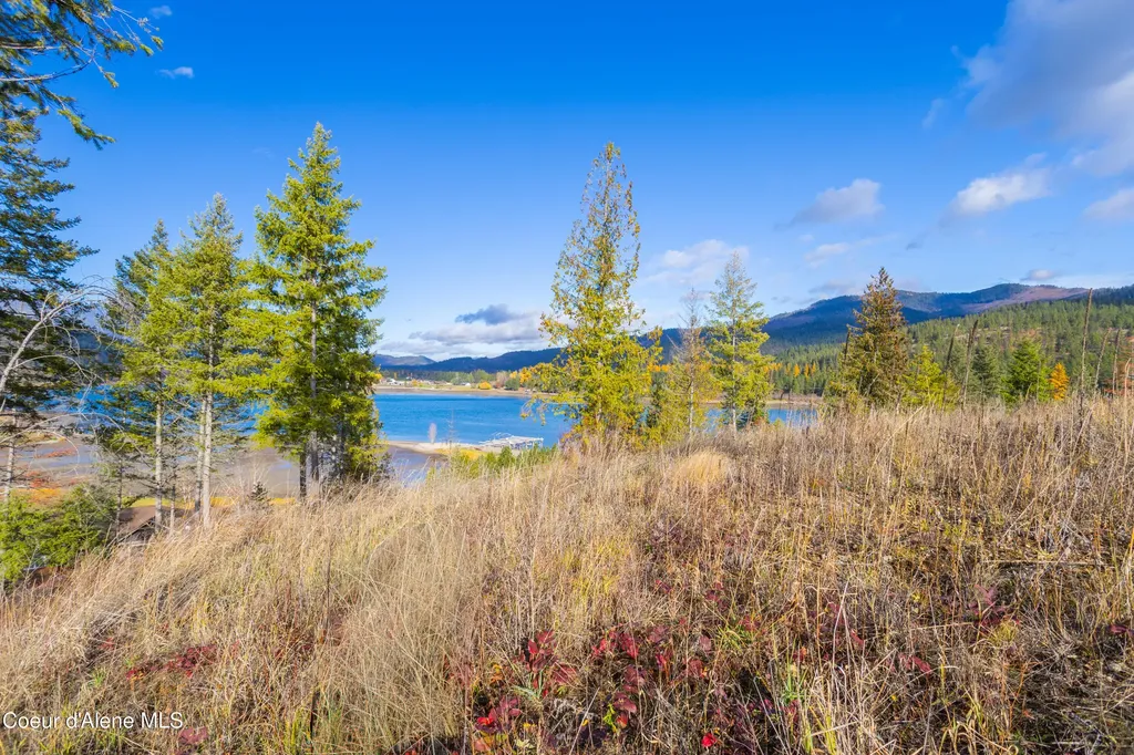 Nna Woodchuck Dr, Lot 15 Priest River ID 83856