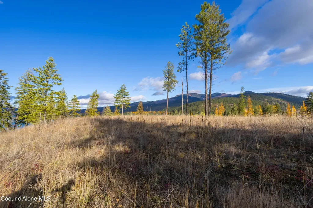 Nna Woodchuck Dr, Lot 15 Priest River ID 83856