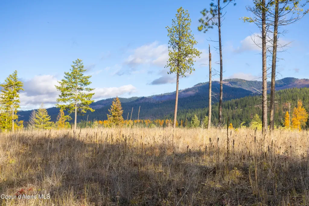 Nna Woodchuck Dr, Lot 15 Priest River ID 83856