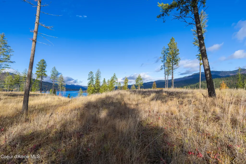 Nna Woodchuck Dr, Lot 15 Priest River ID 83856