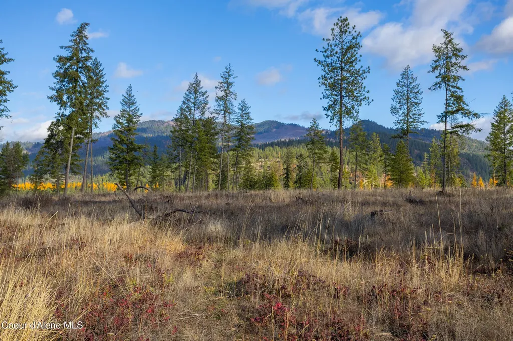 Nna Woodchuck Dr, Lot 15 Priest River ID 83856
